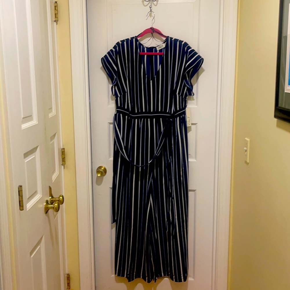 Eliza J Navy Striped Jump suit